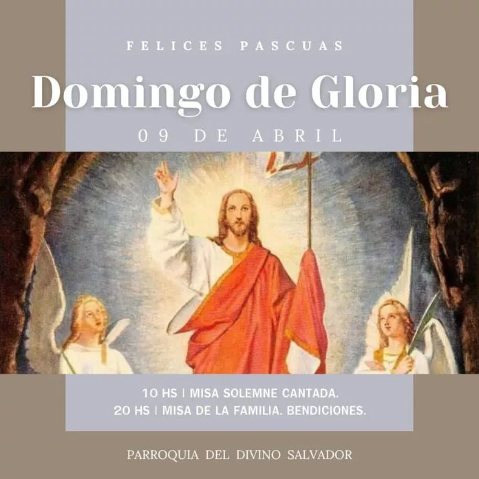 WhatsApp-Image-2023-03-31-at-11.49.46-696x696