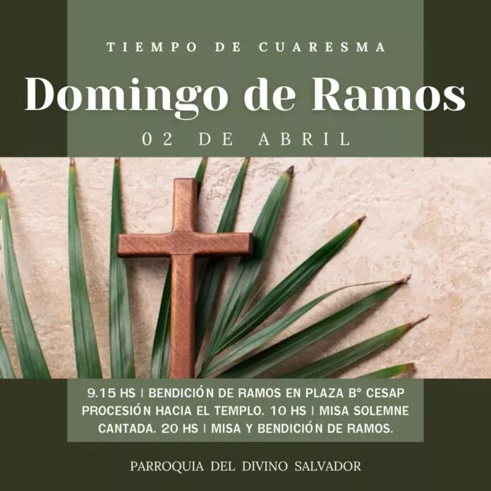 WhatsApp-Image-2023-03-31-at-11.49.47-3-696x696