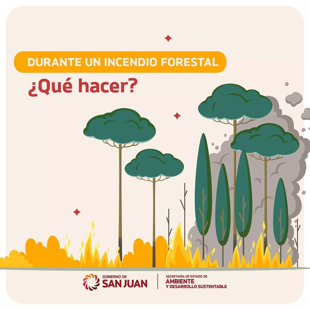 290697609_1155262818665963_9146520295931384557_n