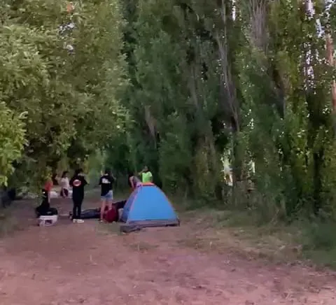 WhatsApp Image 2025-01-05 at 12.50.34