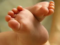 Bebe