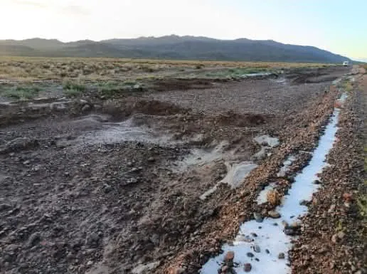 WhatsApp Image 2026-02-04 at 11.26.28B