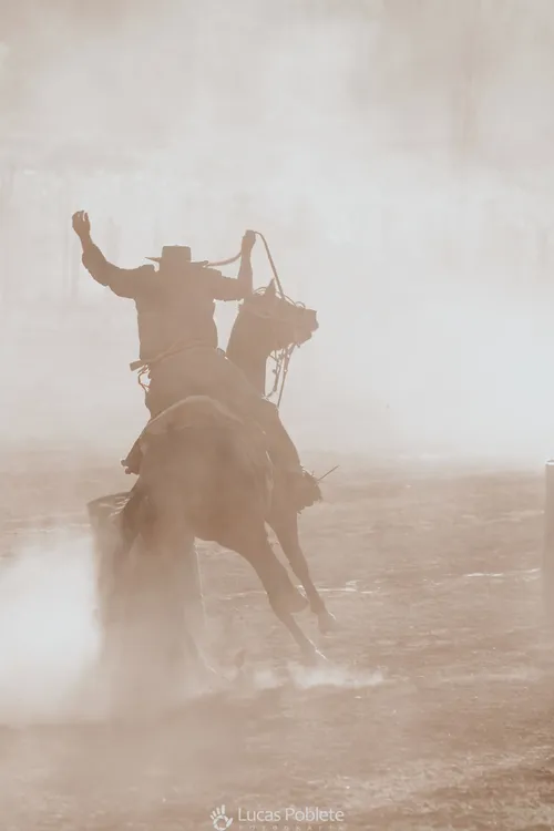 WhatsApp Image 2024-01-22 at 11.32.20