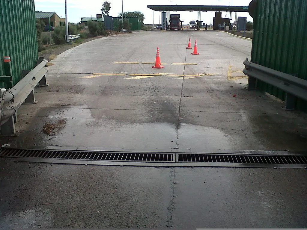 Control fitosanitario