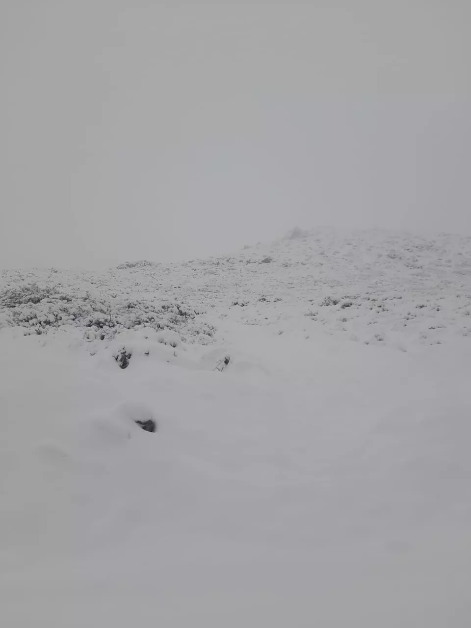 WhatsApp Image 2022-09-28 at 10.37.49