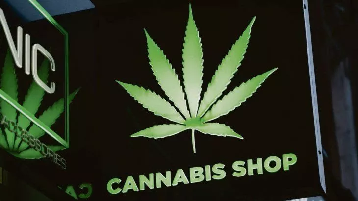 tapa-hemp-cannabisjpg