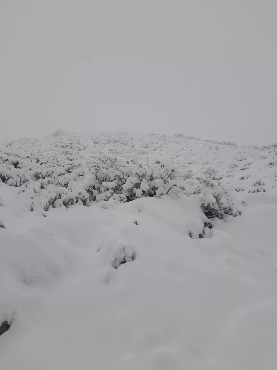 WhatsApp Image 2022-09-28 at 10.37.50 (1)