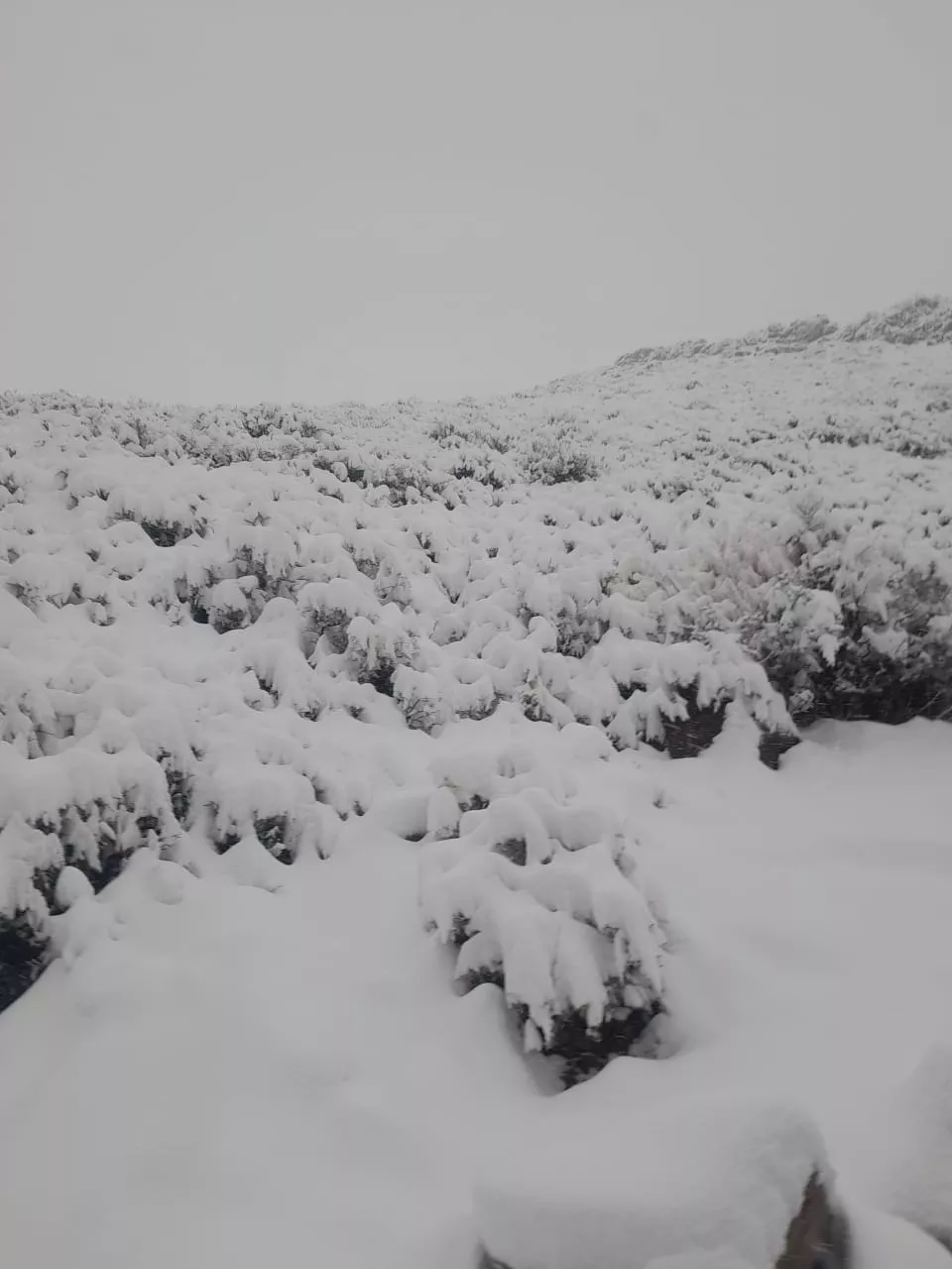 WhatsApp Image 2022-09-28 at 10.37.50