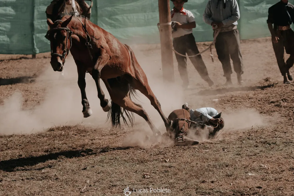 WhatsApp Image 2024-01-22 at 11.32.25