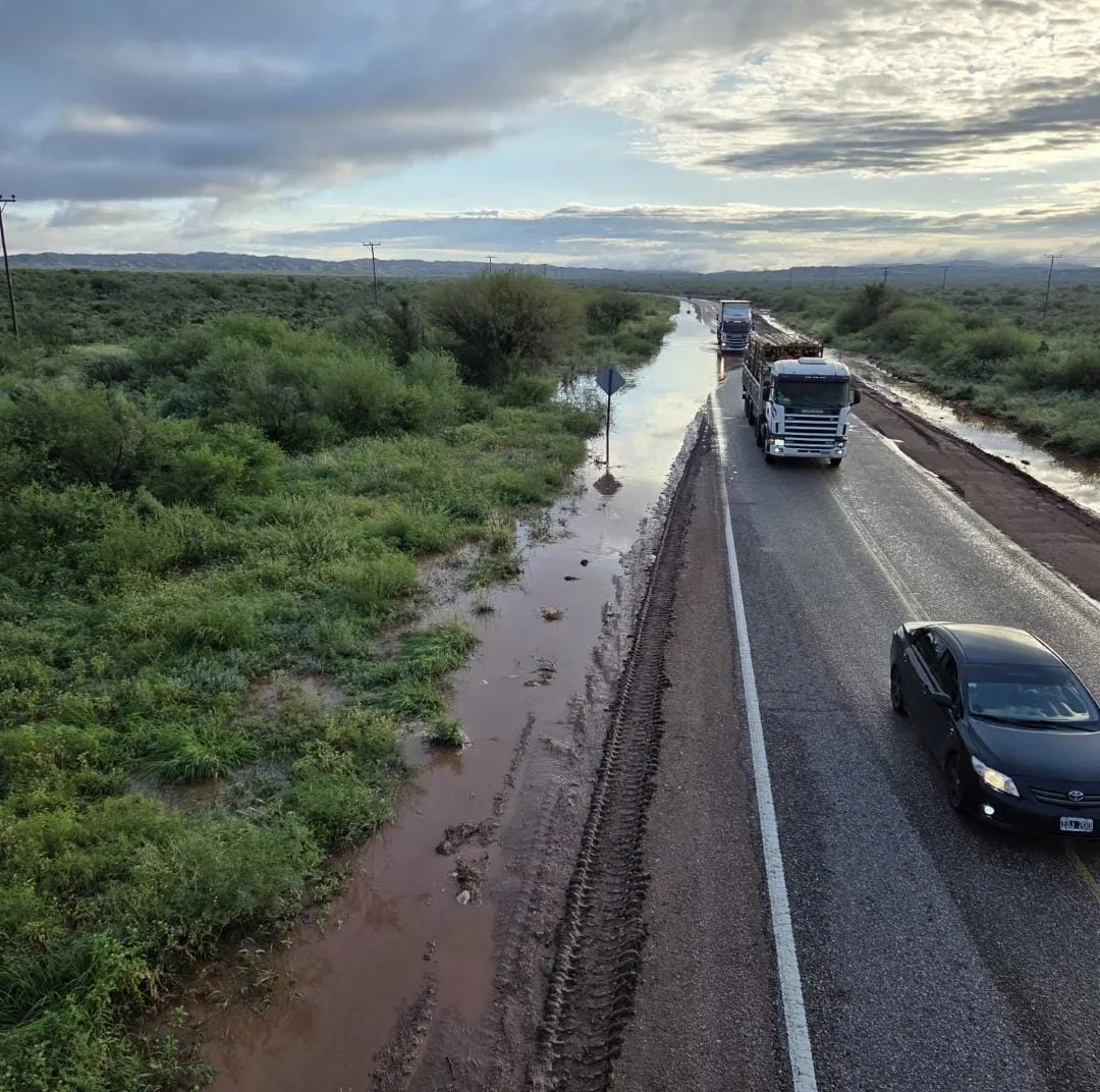 WhatsApp Image 2026-02-22 at 10.47.06