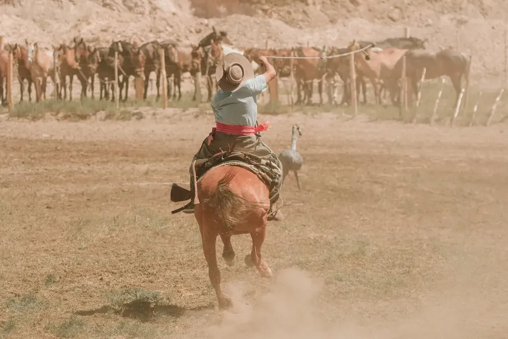 417112708_759133272925523_5638179086338296296_n