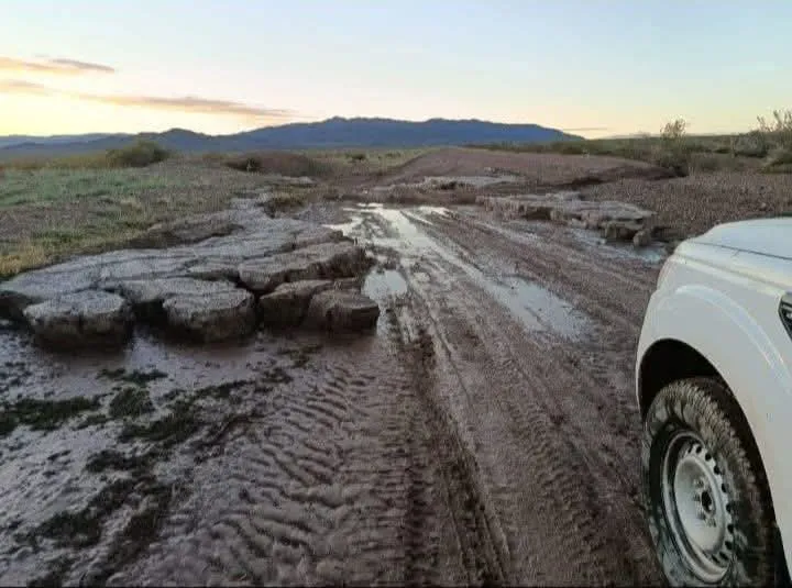 WhatsApp Image 2026-02-04 at 11.26.283