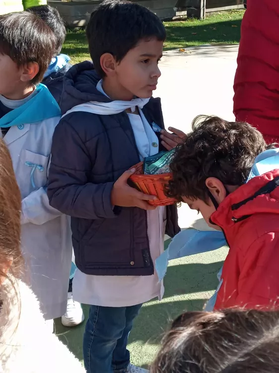 WhatsApp Image 2022-05-23 at 12.52.34 PM