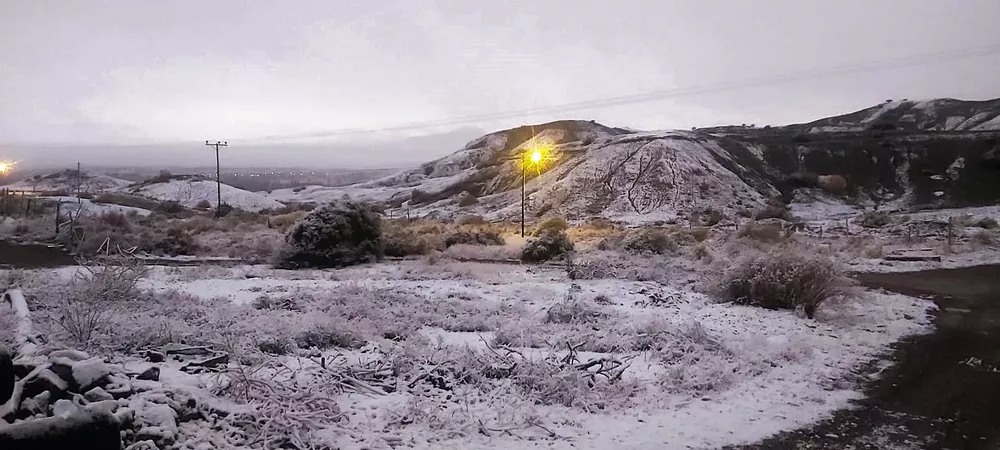 WhatsApp Image 2022-09-02 at 09.20.31