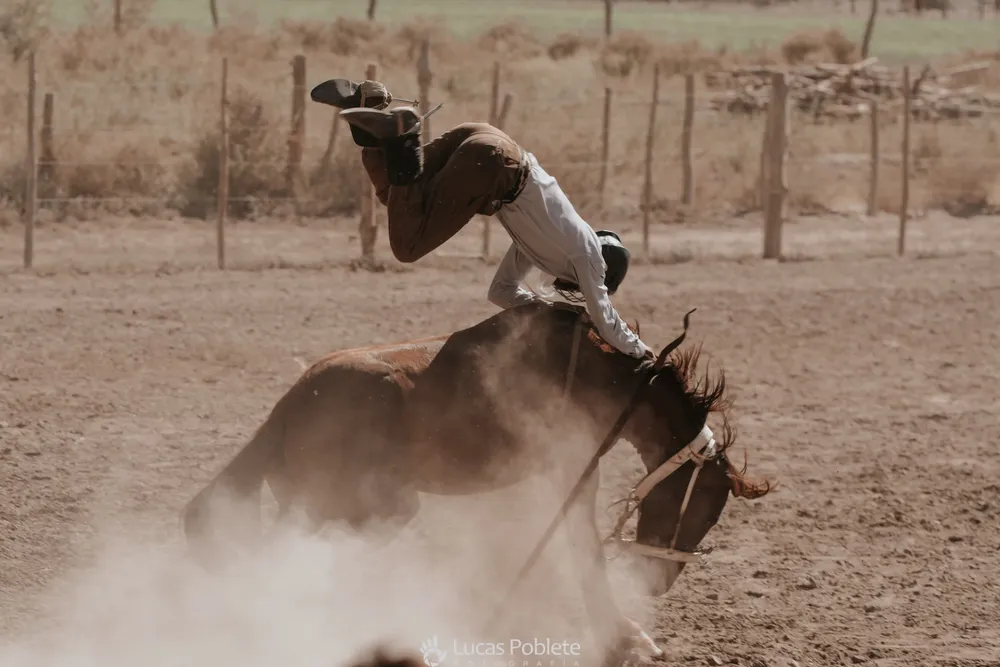 WhatsApp Image 2024-01-22 at 11.32.26