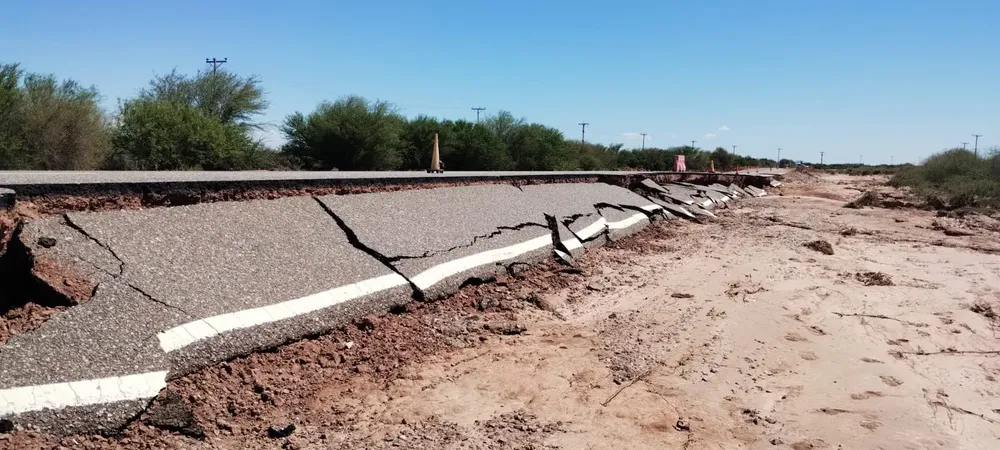 WhatsApp Image 2026-02-06 at 13.06.213b