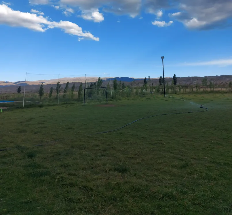 WhatsApp Image 2025-01-05 at 12.42.38