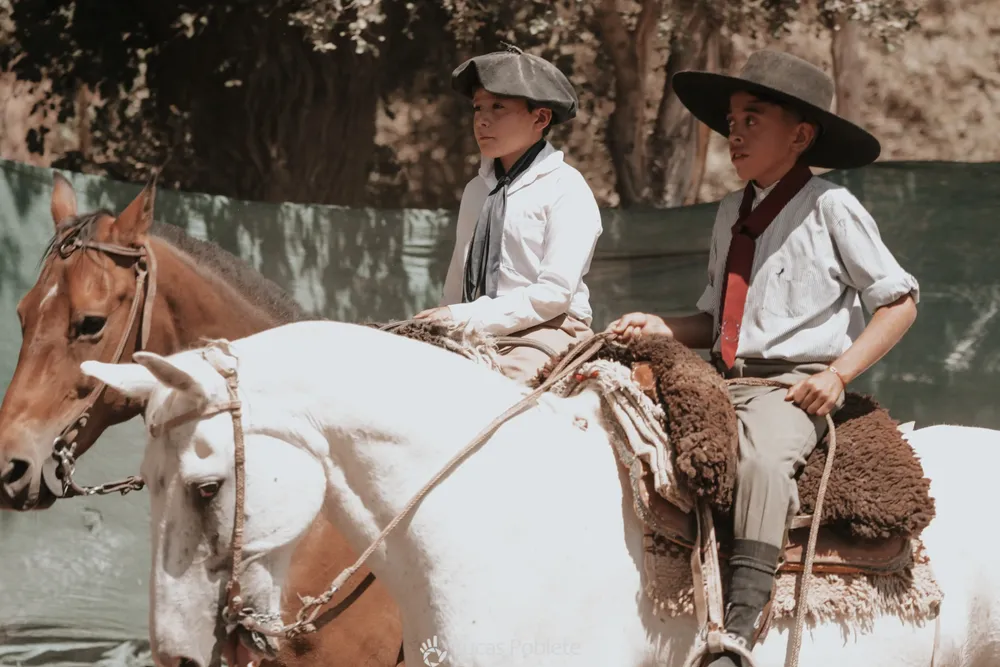 WhatsApp Image 2024-01-22 at 11.32.31