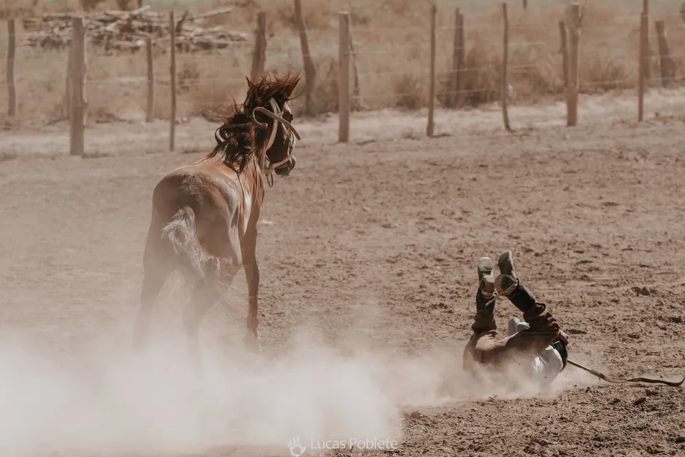 WhatsApp Image 2024-01-22 at 11.32.25 (1)