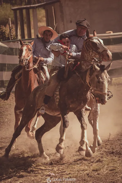 WhatsApp Image 2024-01-22 at 11.32.23 (2)