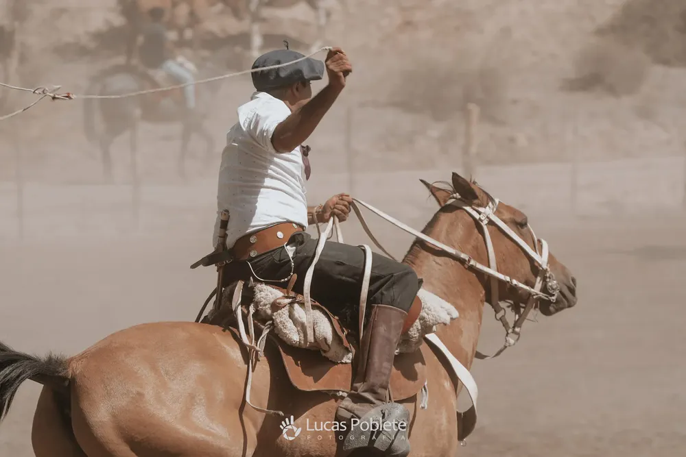 417819091_898424048313492_8964130630834965843_n