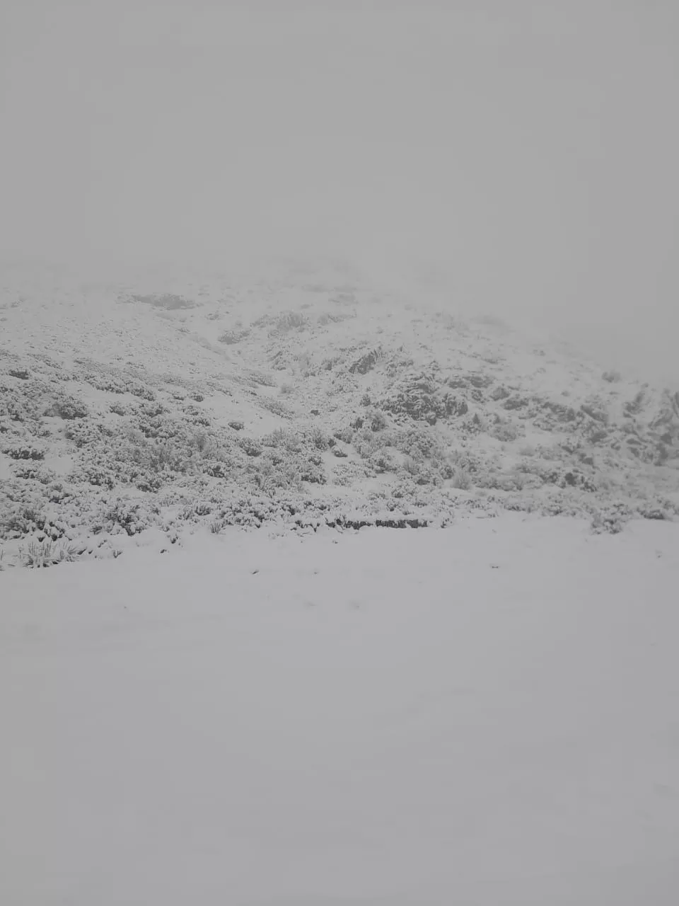 WhatsApp Image 2022-09-28 at 10.37.51 (1)