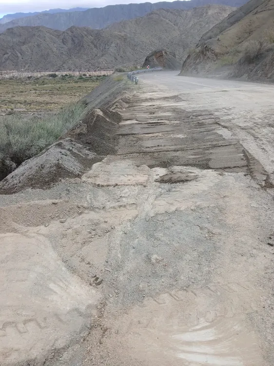 WhatsApp Image 2026-02-09 at 14.56.24