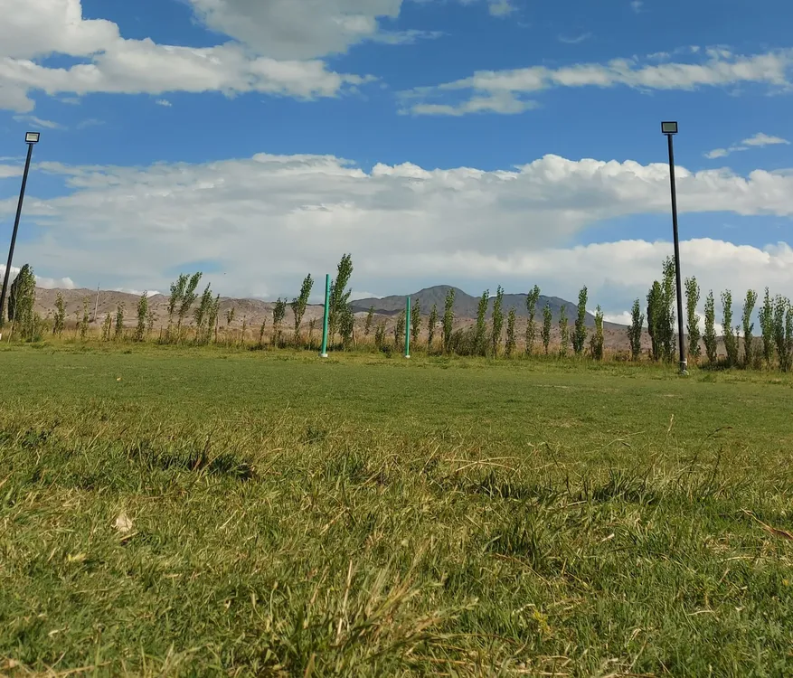 ae995851-ad18-4da4-81bb-8b13d2d068a6