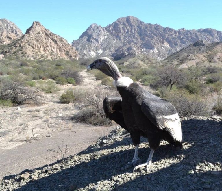 e690e4b09df35fd92c09d320cf0aaa3e_L