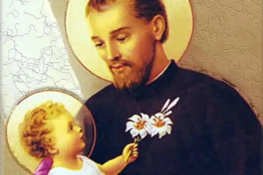 MLWXBTI4Z5COXJBMENXODJ5JHI