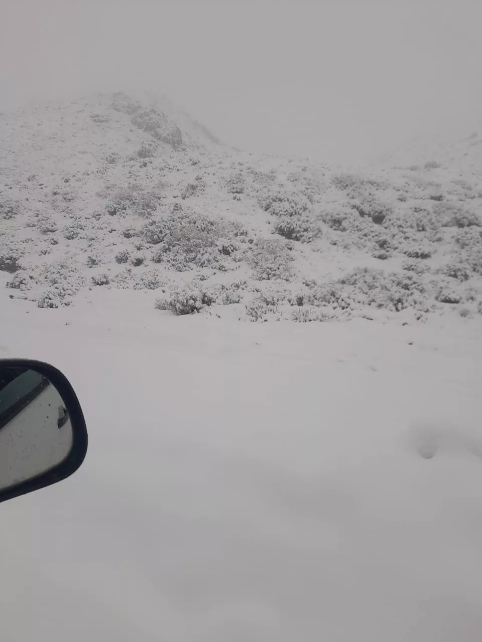 WhatsApp Image 2022-09-28 at 10.37.53