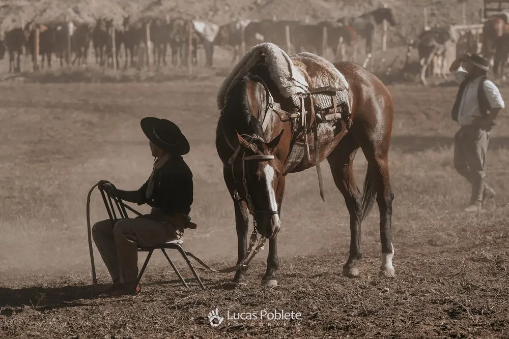 417852422_898424471646783_7580965688096727497_n