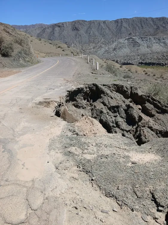 WhatsApp Image 2026-02-09 at 14.56.25