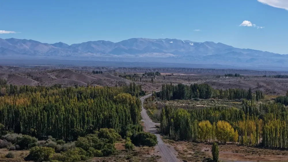dji_fly_20260417_121508_0058_1776439534446_photo