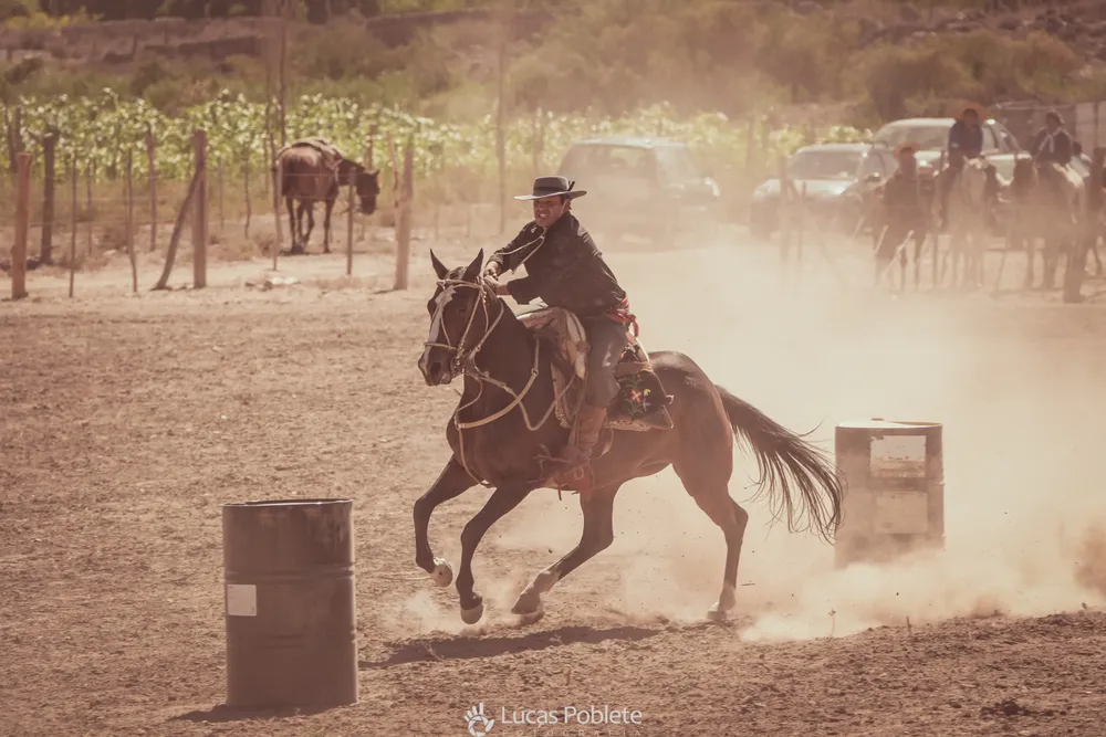 WhatsApp Image 2024-01-22 at 11.32.27 (2)