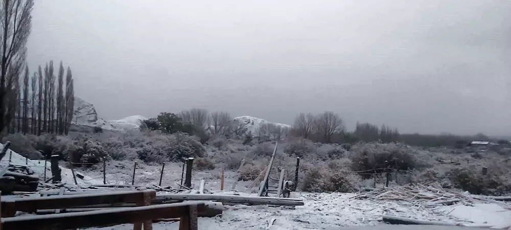 WhatsApp Image 2022-09-02 at 09.20.36