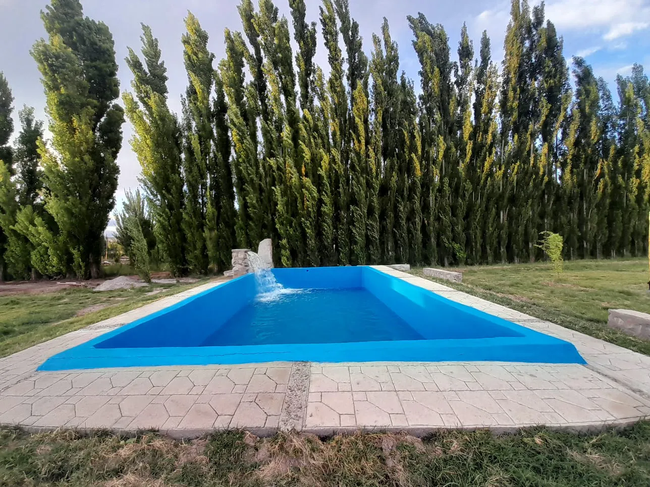 WhatsApp Image 2025-01-05 at 12.43.19