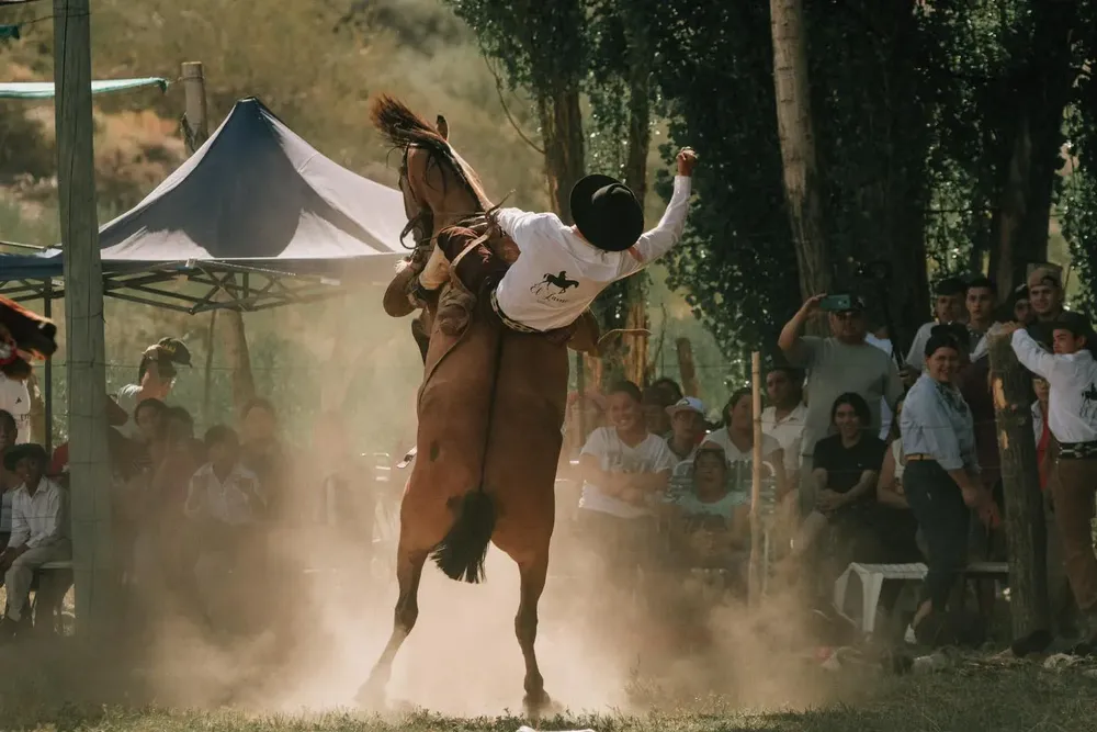 417117819_759133219592195_8488225599484395420_n