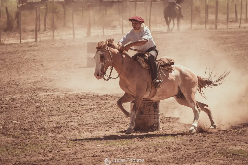 WhatsApp Image 2024-01-22 at 11.32.27 (1)