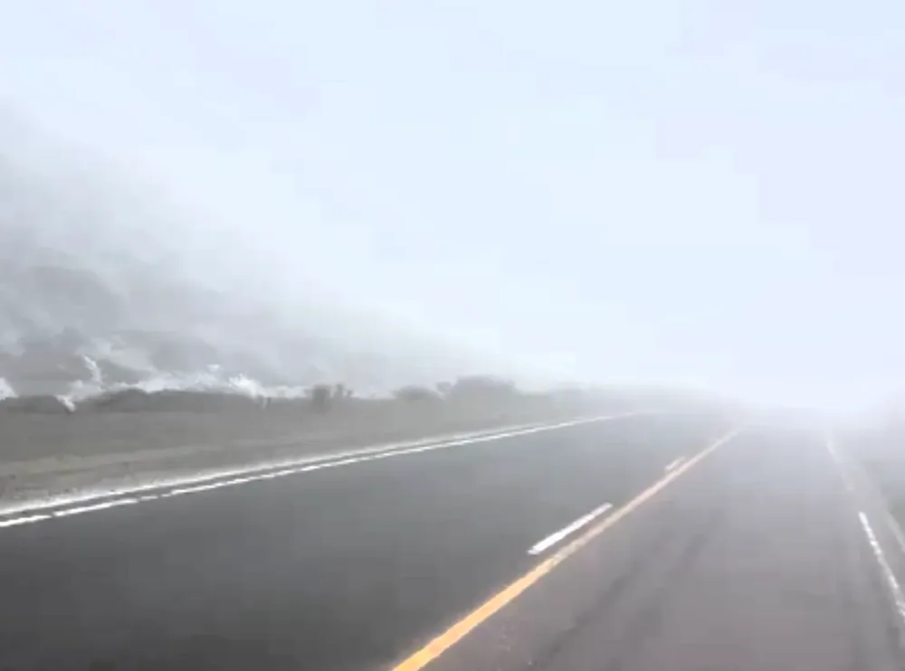 temporal