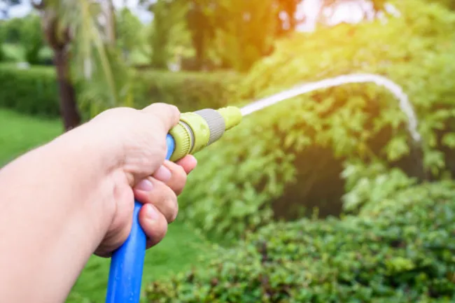 jardinero-regando-manguera-agua-azul-jardin_37778-477