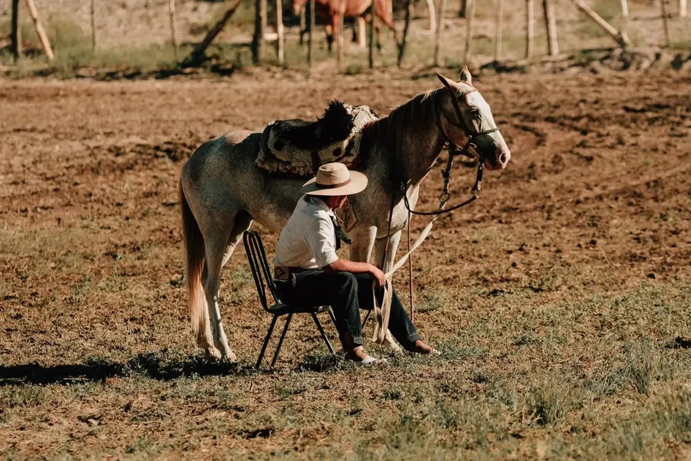 417125867_759133466258837_872636352198167381_n