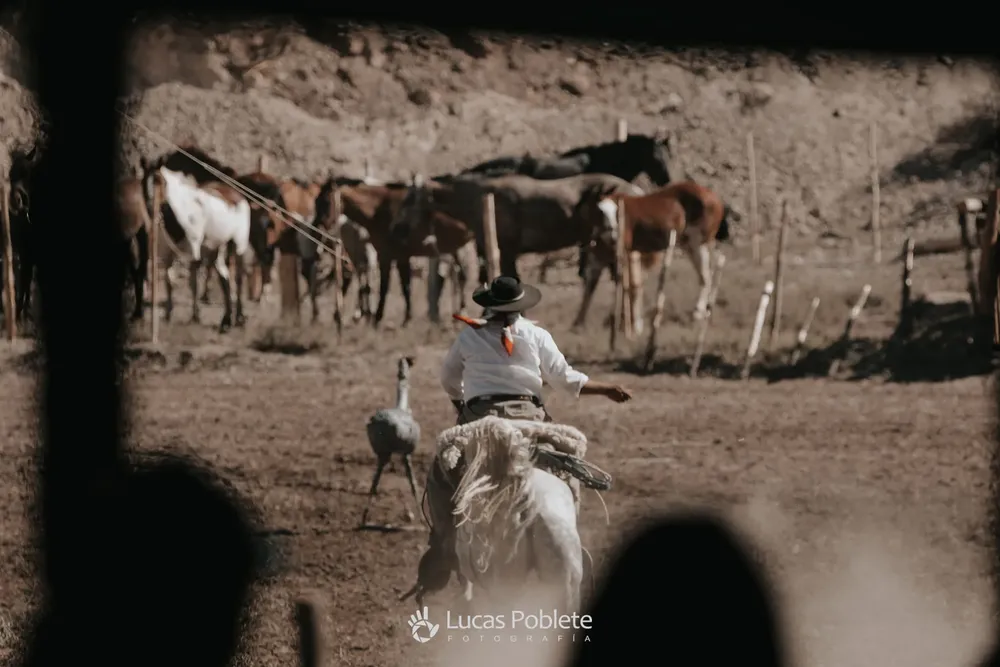 417921271_898424924980071_8875168837255751840_n