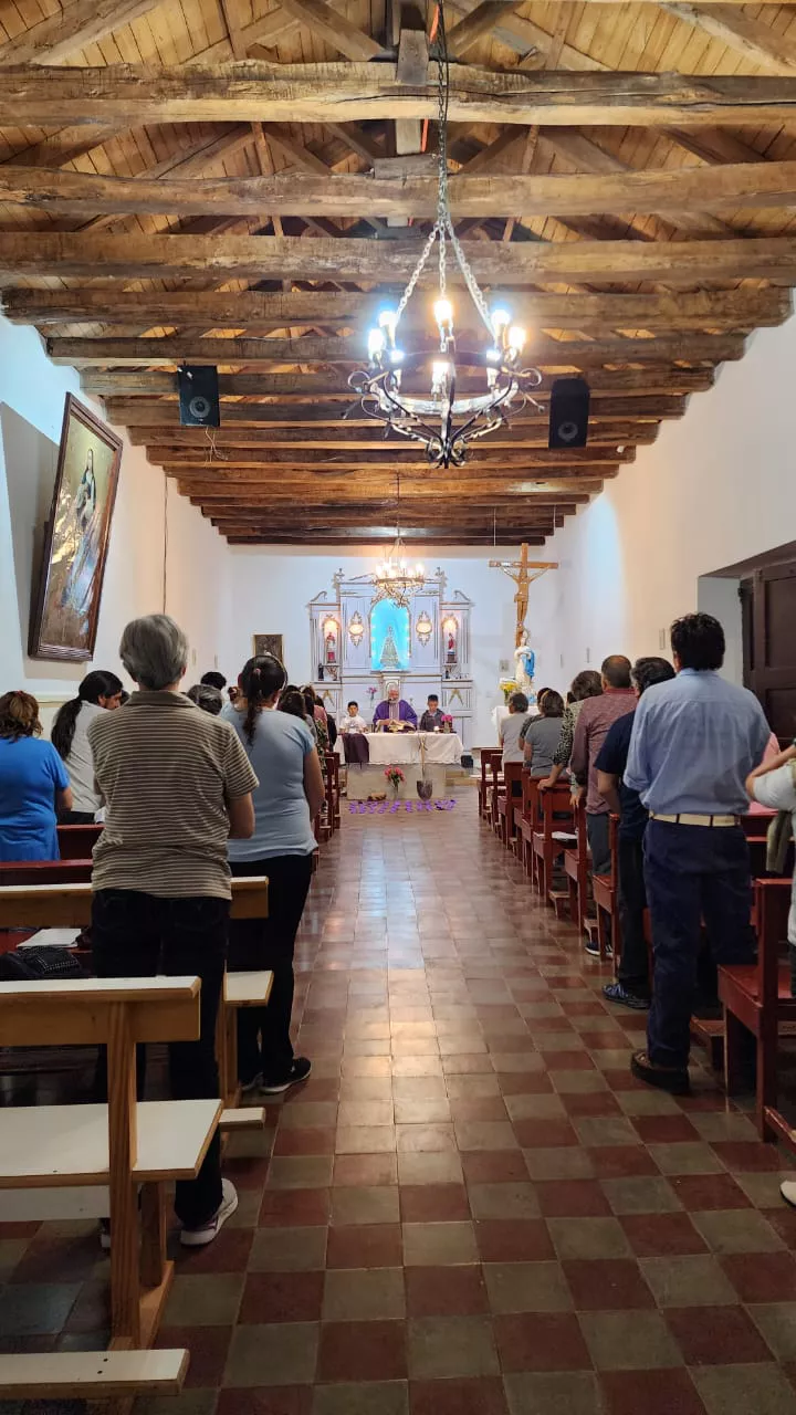 WhatsApp Image 2022-12-01 at 15.41.31