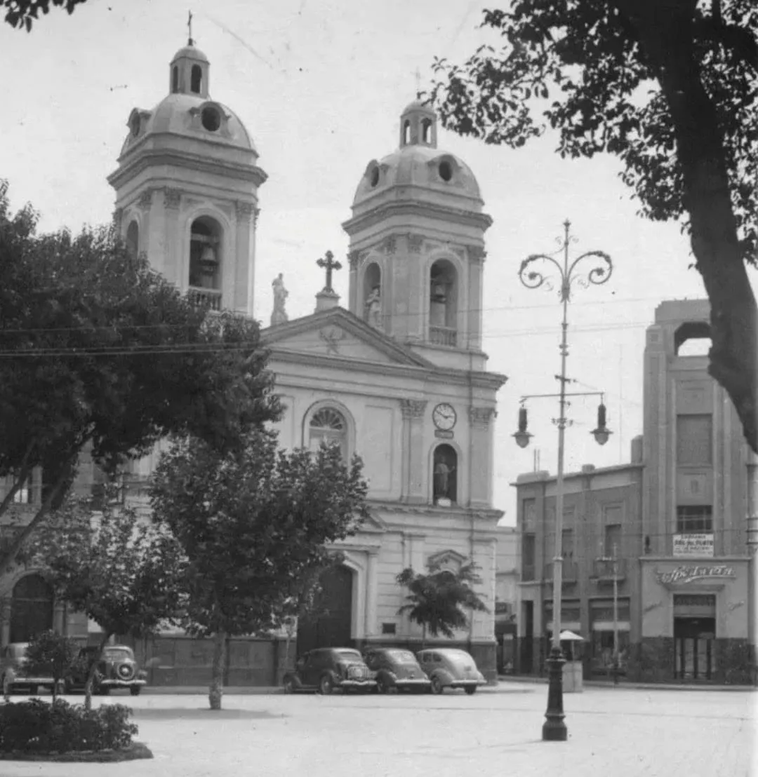 WhatsApp Image 2024-04-16 at 11.50.47 (2)