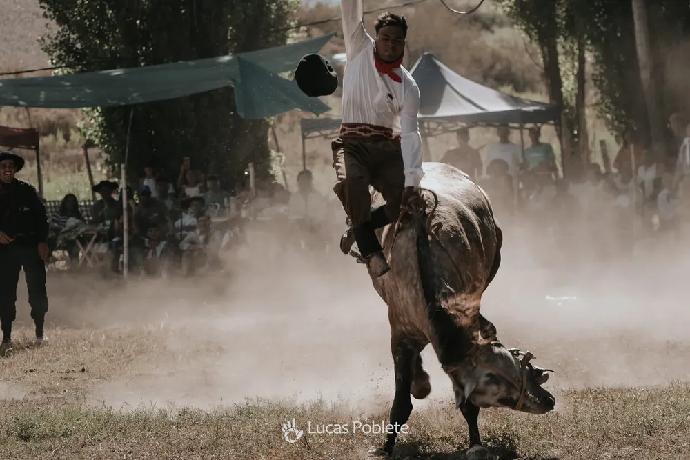 417892270_898424828313414_5654673389066303387_n